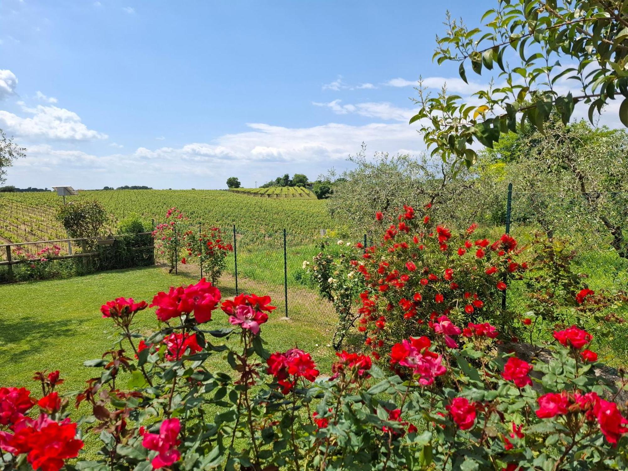 Villa Poggio Bardolino Buitenkant foto